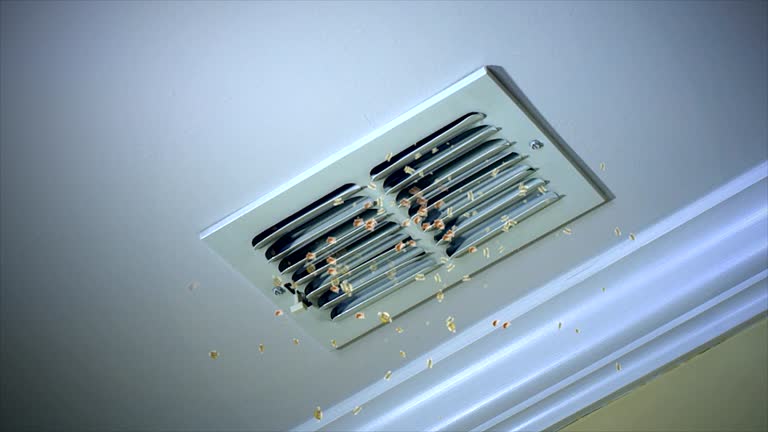 Best Air Duct Cleaning Near Me in Hughesville, MD