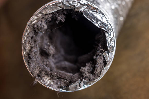 Best Best Air Duct Cleaning Near Me  in Hughesville, MD