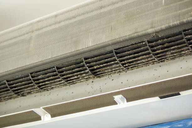 Best Air Duct Cleaning Near Me  in Hughesville, MD